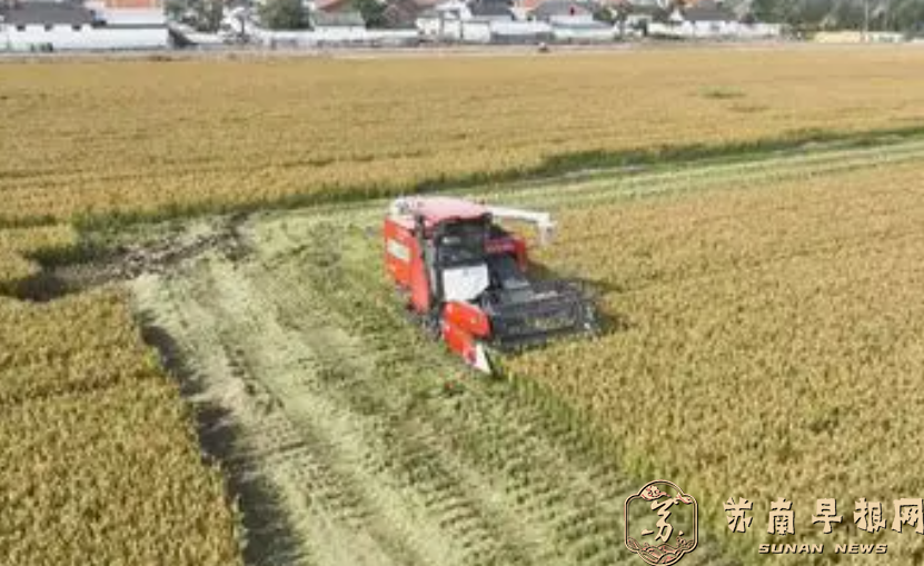 今年&ldquo;三秋&rdquo;生产有更多高端智能农机投入应用