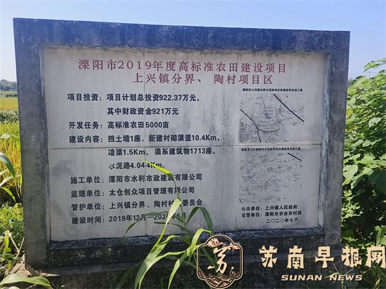 常州市溧阳上兴镇陶村：高标准农田个别地区呈现大面积&ldquo;荒芜&rdquo;