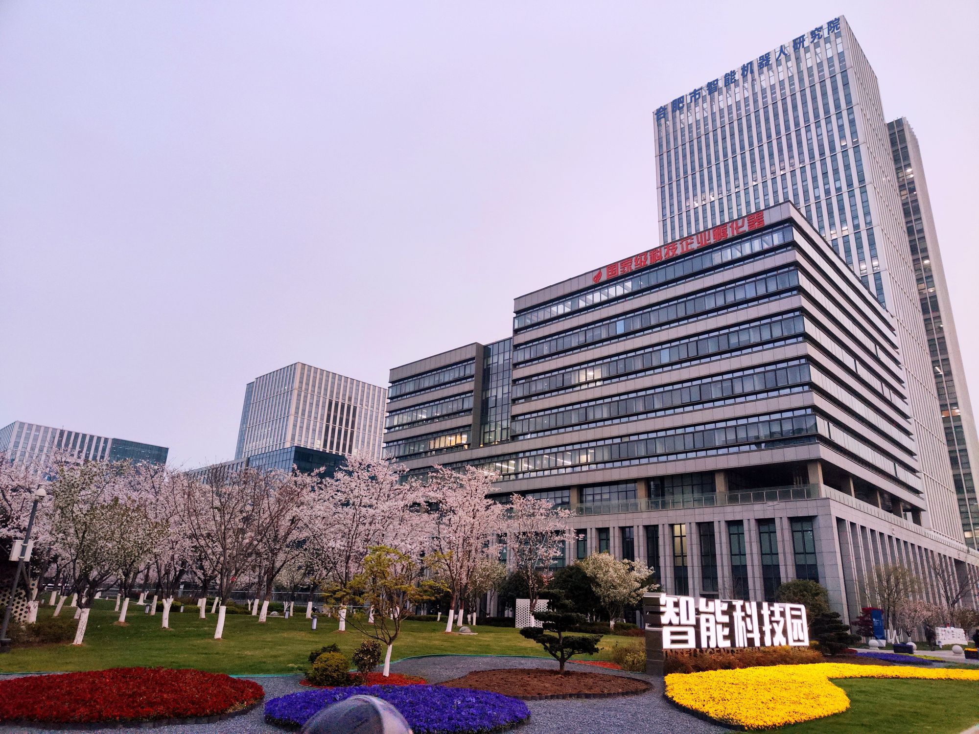 合肥智能机器人研究院部分楼宇。合肥智能机器人研究院供图