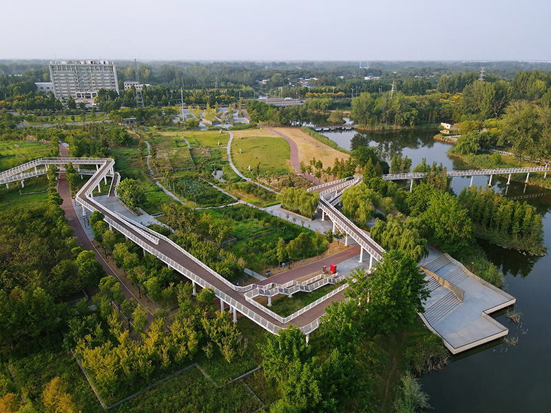 陵西湖公园空中廊桥。人民网记者 王晓飞摄