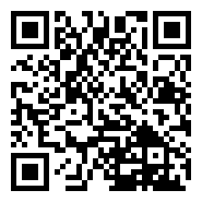 长三角最新动态｜进出口总值9.1万亿元，规模创历史新高